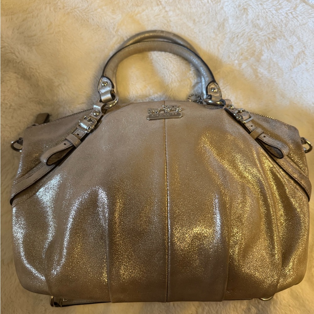 Coach Metallic Leather Ashley Satchel